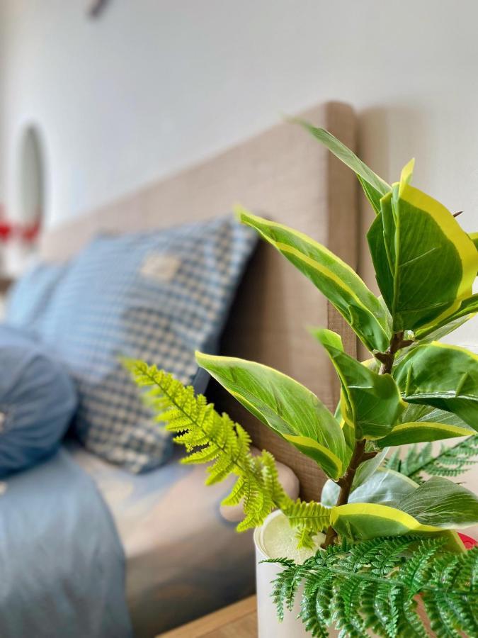 The Song Apartment Vung Tau - Boo Boo Homestay المظهر الخارجي الصورة